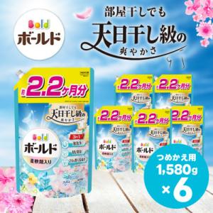 ふるさと納税 高崎市 ボールド 柔軟剤入り 洗濯洗剤 爽やかおひさまとフレッシュサボンの香り 詰め替...