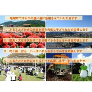 ふるさと納税 坂城町 【返礼品なし】長野県坂城町への寄附　応援　寄附のみ(1口 1,000円)
