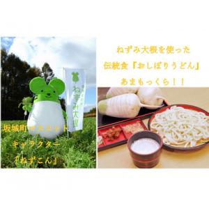 ふるさと納税 坂城町 【返礼品なし】長野県坂城...の詳細画像3