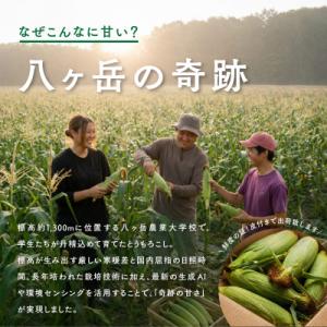 ふるさと納税 茅野市 【2026年先行予約】朝...の詳細画像3