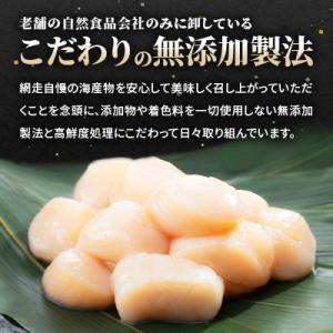 ふるさと納税 網走市 《訳ありお礼品》ホタテフ...の詳細画像2
