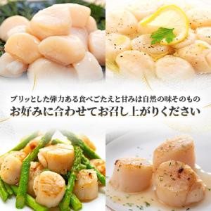 ふるさと納税 網走市 《訳ありお礼品》ホタテフ...の詳細画像3