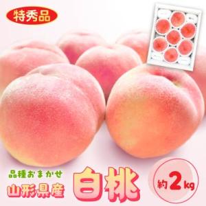 ふるさと納税 中山町 【令和9年産先行受付】山形県産白桃 約2kg(品種おまかせ) 特秀品　柔らかく...