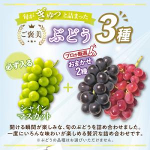 ふるさと納税 山梨市 2026年発送 朝もぎ直...の詳細画像1