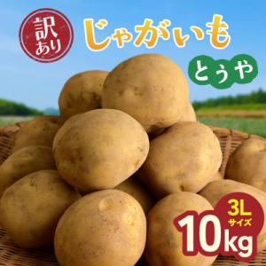 ふるさと納税 かすみがうら市 産地直送!訳ありお芋屋さんのBigじゃがいも(品種:とうや)10kg