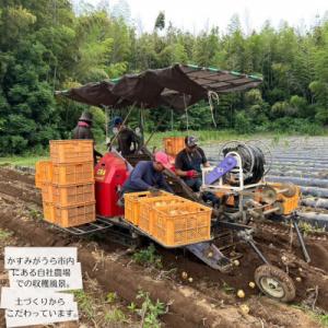 ふるさと納税 かすみがうら市 産地直送!訳あり...の詳細画像1