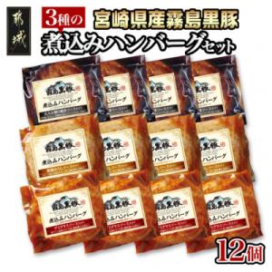 ふるさと納税 都城市 霧島黒豚 3種の煮込みハンバーグ 12個セット(デミグラス・和風おろし・大人の...