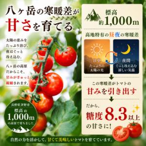 ふるさと納税 茅野市 蓼科野菜 八ヶ岳産高原育...の詳細画像1