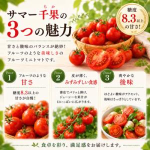 ふるさと納税 茅野市 蓼科野菜 八ヶ岳産高原育...の詳細画像2