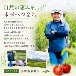 ふるさと納税 茅野市 蓼科野菜 八ヶ岳産高原育...の詳細画像3