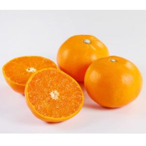 ふるさと納税 八幡浜市 せとか1.5kg(秀品)【C21-43】