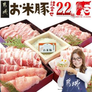 ふるさと納税 都城市 お米豚2.2kgセットの商品画像