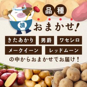 ふるさと納税 別海町 【先行受付】新じゃがいも...の詳細画像3