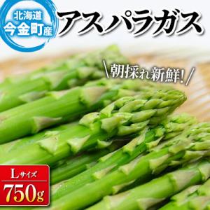 ふるさと納税 今金町 【先行受付】朝採れ新鮮アスパラ 750g Lサイズ 秀品 北海道産 旬野菜