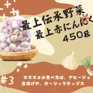 ふるさと納税 新庄市 最上伝承野菜【最上赤にんにく】 450g(バラ)