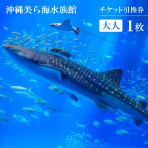 ふるさと納税 本部町 沖縄美ら海水族館 チケット引換券 大人券1枚