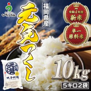 ふるさと納税 福津市 【R7年産】R7年11月〜JAより順次発送 福岡県ブランド米「元気つくし5kg...
