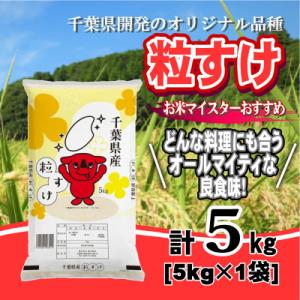 ふるさと納税 大網白里市 【令和7年産】千葉県産「粒すけ」精米 5kg(5kg×1袋)