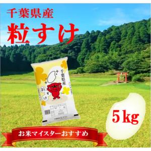 ふるさと納税 大網白里市 【新米 令和7年産】千葉県産「粒すけ」精米 5kg(5kg×1袋)