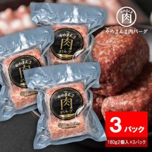 ふるさと納税 静岡市 【The Oniku】そのまんま肉バーグ3パックセット(180g×2個入り×3パック)