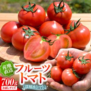 ふるさと納税 小矢部市 【事前受付】お試しサイズ!フルーツトマト「深層水トマト」約700g【濃厚な甘...