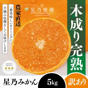 ふるさと納税 八幡浜市 【訳あり】星乃みかん園の星乃みかん(5kg)【A45-98】