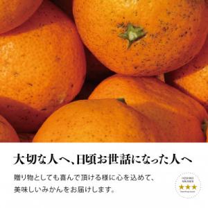 ふるさと納税 八幡浜市 【訳あり】星乃みかん園...の詳細画像2