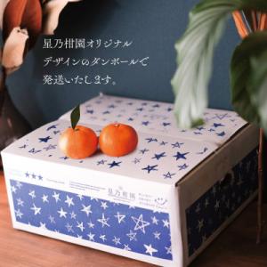 ふるさと納税 八幡浜市 【訳あり】星乃みかん園...の詳細画像3