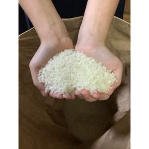 ふるさと納税 東かがわ市 はなまる農園の令和8年度産　虹のきらめき　 白米20キロ