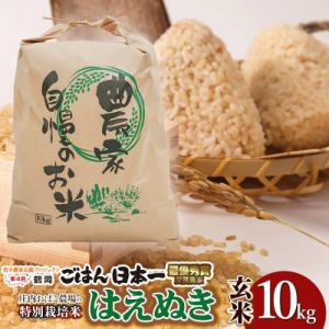 ふるさと納税 鶴岡市 庄内おばこ農場の特別栽培米はえぬき玄米10kg[K-784]