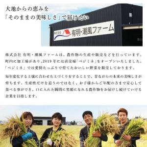 ふるさと納税 上峰町 令和7年産さがびより 5...の詳細画像3