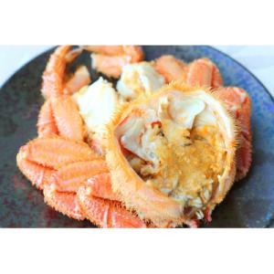 ふるさと納税 雄武町 北海道オホーツク海産 訳あり朝ゆで毛ガニ 約2kg(冷凍)