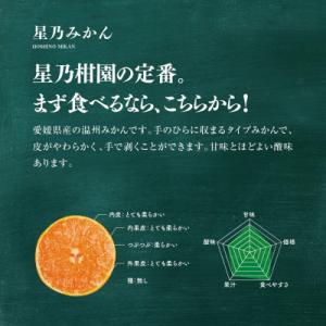 ふるさと納税 八幡浜市 【三つ星ブランド】星乃...の詳細画像1