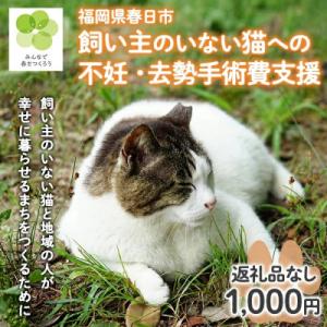ふるさと納税 春日市 【返礼品なし】飼い主のいないねこと地域の人が幸せに暮らせるまちづくり支援