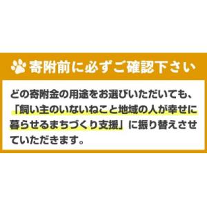 ふるさと納税 春日市 【返礼品なし】飼い主のい...の詳細画像3
