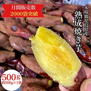 ふるさと納税 鹿屋市 濃密 鹿児島県産 焼き芋 約500g【株式会社憲】2683 KN097-003-01