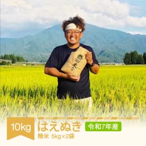 ふるさと納税 村山市 はえぬき精米10kg