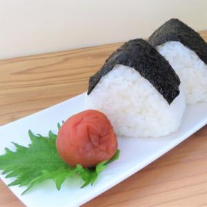ふるさと納税 白浜町 訳あり梅干し まごころ梅...の詳細画像3