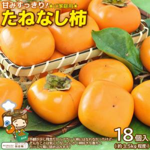 ふるさと納税 あわら市 【訳あり】甘みすっきり!あわらのたねなし柿 約3.5kg(18個入)(ご家庭...