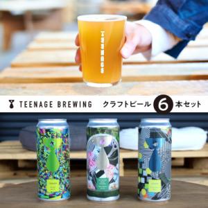 ふるさと納税 ときがわ町 クラフトビールおまかせ6本セット