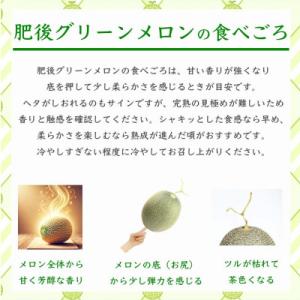 ふるさと納税 菊池市 肥後グリーンメロン 4L...の詳細画像2