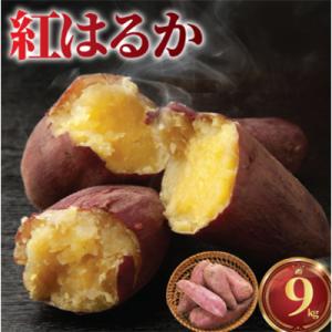 ふるさと納税 藤沢市 さつまいも 9kg 紅はるか 11月上旬発送 訳あり