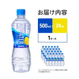 ふるさと納税 えびの市 アクエリアス ニューウ...の詳細画像2