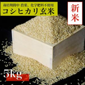 ふるさと納税 阿南市 【令和8年産　新米先行予約】コシヒカリ玄米5kg《栽培期間中農薬・化学肥料不使用》徳島県阿南市産