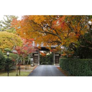 ふるさと納税 日出町 【返礼品なし】大分県日出...の詳細画像2