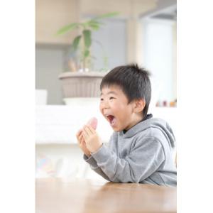 ふるさと納税 下條村 【信州産】市田柿 個包装...の詳細画像1