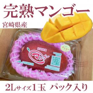 ふるさと納税 三股町 【先行予約】期間限定・数量限定　宮崎県産完熟マンゴー2Lサイズ1玉パック入り【...