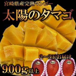 ふるさと納税 三股町 【先行予約】期間・数量限定　宮崎県産完熟マンゴー太陽のタマゴ　2L3玉or3L...