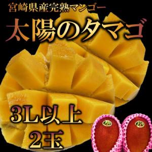 ふるさと納税 三股町 【先行予約】期間・数量限定　宮崎県産完熟マンゴー 太陽のタマゴ　3L以上2玉【MI518】｜Yahoo!ふるさと納税