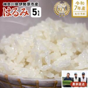 ふるさと納税 伊勢原市 【先行受付】新米 [令和7年産] 伊勢原産 精米 5kg はるみ 農家直送!...